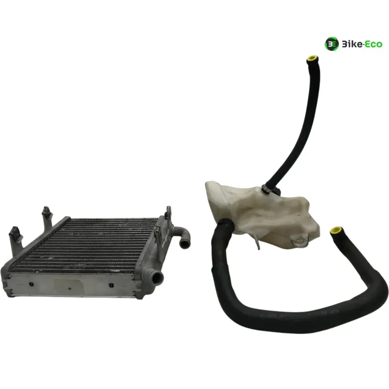 Radiateur eau APRILIA SR 50 2010-2014 R FACTORY IE CARBU