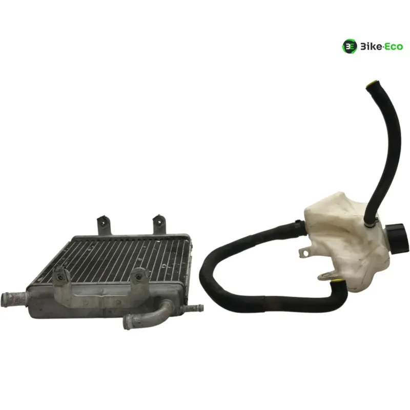 Radiateur eau APRILIA SR 50 2010-2014 R FACTORY IE CARBU