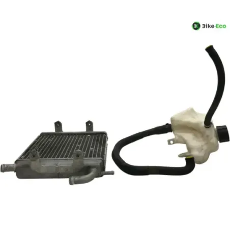 Radiateur eau APRILIA SR 50 2010-2014 R FACTORY IE CARBU