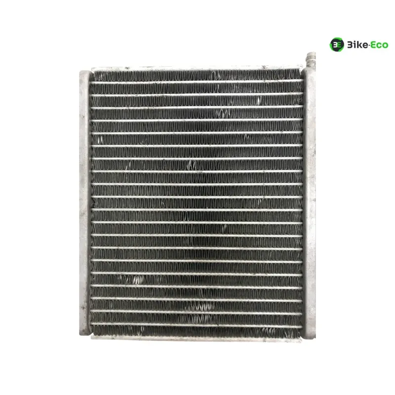 Radiateur eau APRILIA SR 50 2010-2014 R FACTORY IE CARBU
