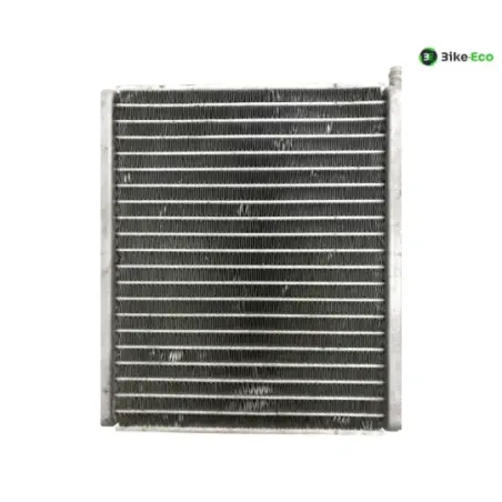 Radiateur eau APRILIA SR 50 2010-2014 R FACTORY IE CARBU