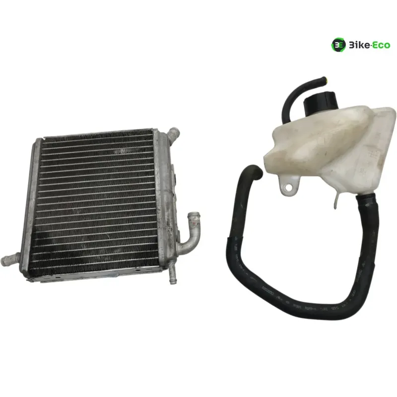Radiateur eau APRILIA SR 50 2010-2014 R FACTORY IE CARBU