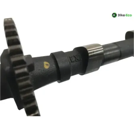 Arbres à cames KAWASAKI ZR7 750 1999-2003