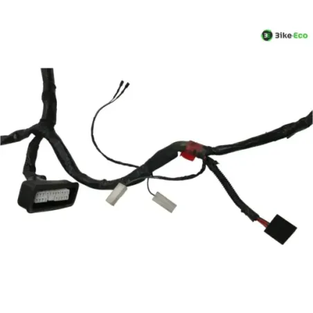 Faisceau electrique PIAGGIO ZIP 50 2018-2020 4T