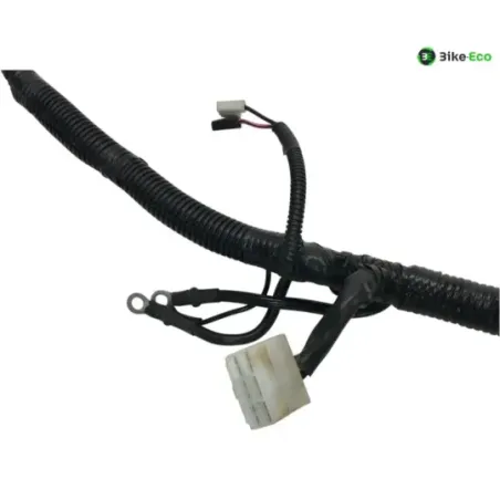 Faisceau electrique PIAGGIO ZIP 50 2018-2020 4T
