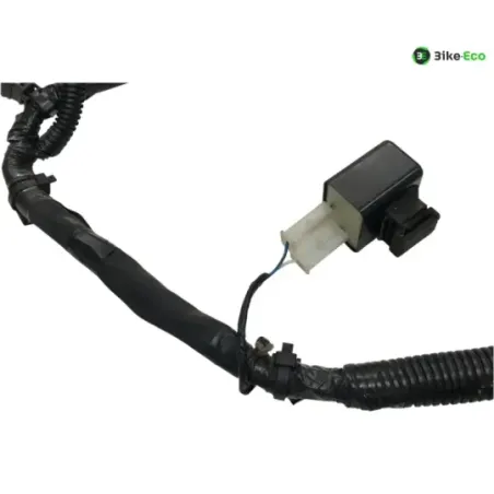 Faisceau electrique PIAGGIO ZIP 50 2018-2020 4T