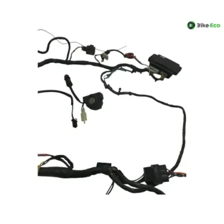 Faisceau electrique KAWASAKI ZR 750 1991-1997 ZEPHYR