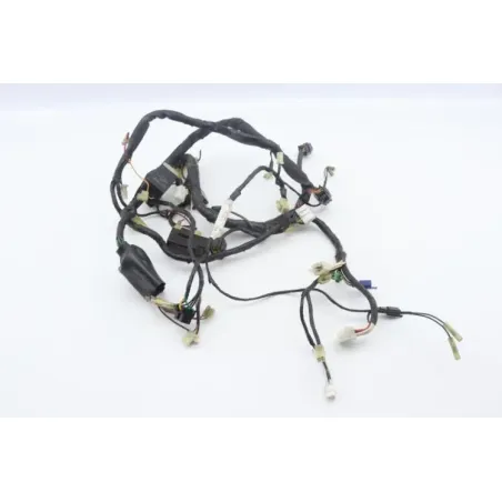 Faisceau electrique YAMAHA YZF 600 R THUNDERCAT 1996 - 2004
