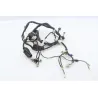 Faisceau electrique YAMAHA YZF 600 R THUNDERCAT 1996 - 2004 Faisceau electrique YAMAHA YZF 600 R THUNDERCAT 1996 - 2004
