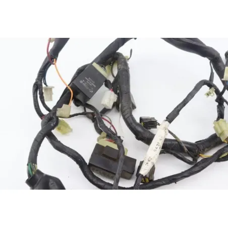 Faisceau electrique YAMAHA YZF 600 R THUNDERCAT 1996 - 2004