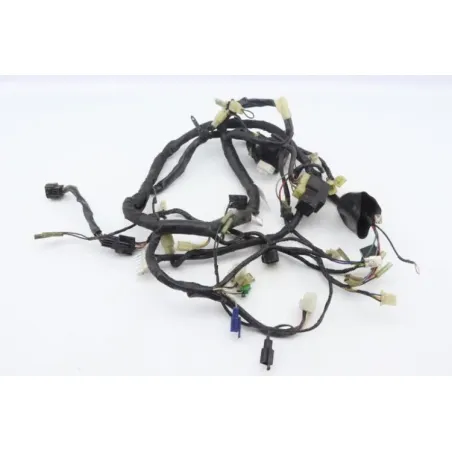 Faisceau electrique YAMAHA YZF 600 R THUNDERCAT 1996 - 2004