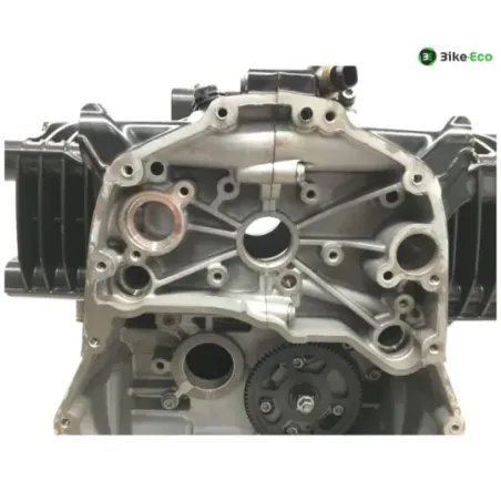 Carter moteur BMW R 1250 GS 2018-2023