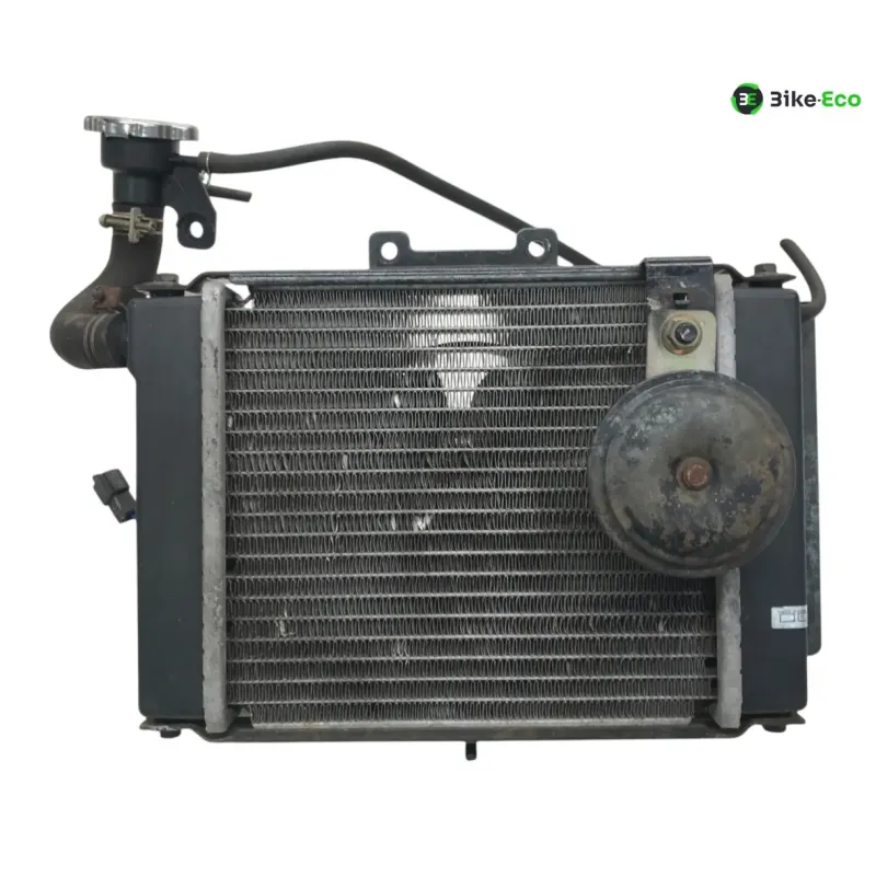 Radiateur eau KYMCO GRAND DINK 125 2003-2004 EURO2