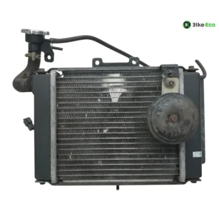 Radiateur eau KYMCO GRAND DINK 125 2003-2004 EURO2