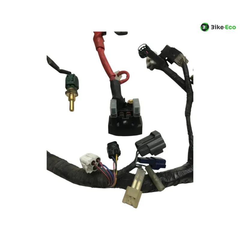 Faisceau electrique YAMAHA TDM 900 2007-2010