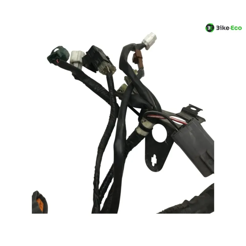 Faisceau electrique YAMAHA TDM 900 2007-2010