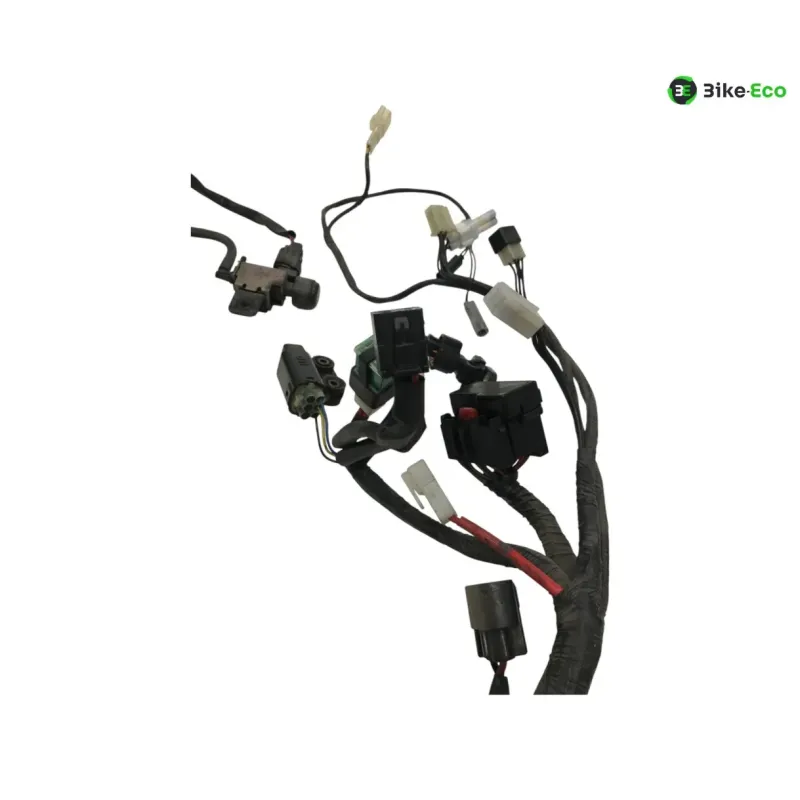 Faisceau electrique YAMAHA TDM 900 2007-2010