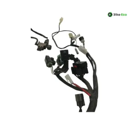 Faisceau electrique YAMAHA TDM 900 2007-2010