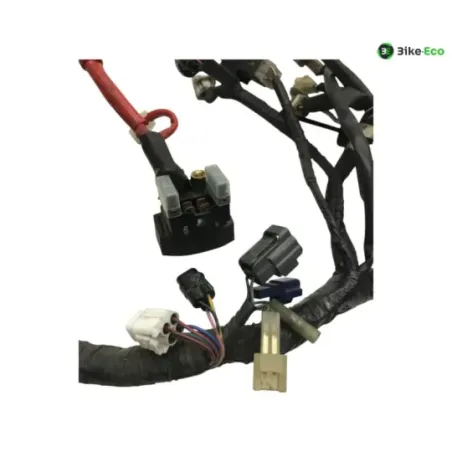 Faisceau electrique YAMAHA TDM 900 2007-2010