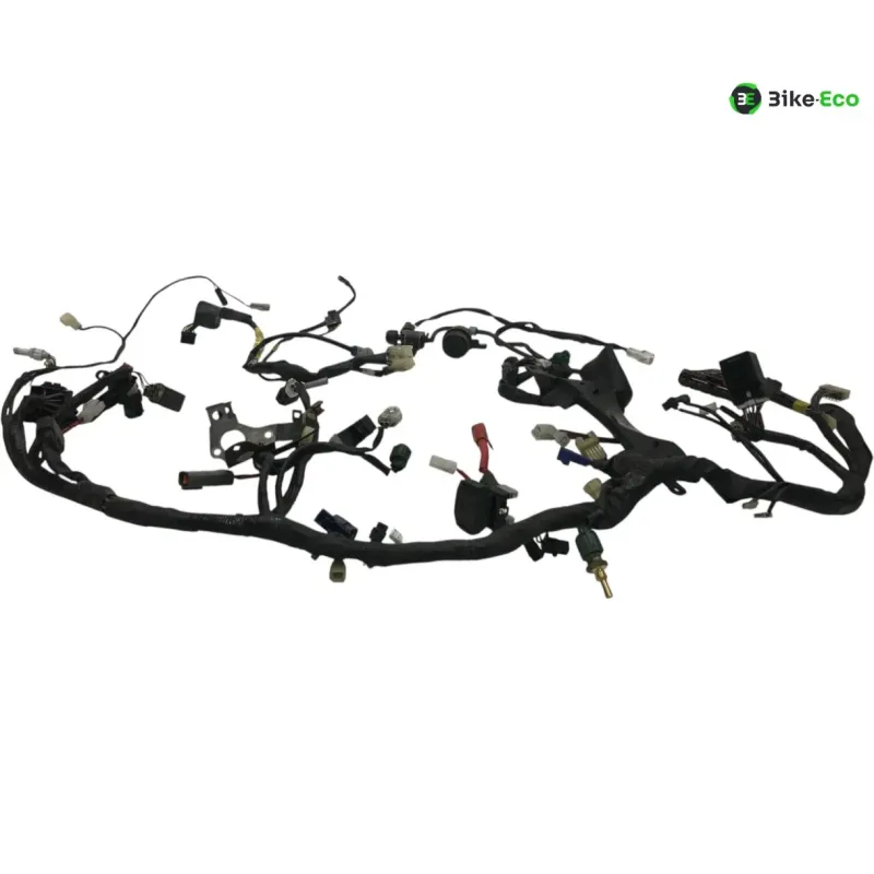 Faisceau electrique YAMAHA TDM 900 2007-2010