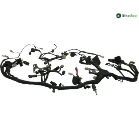 Faisceau electrique YAMAHA TDM 900 2007-2010