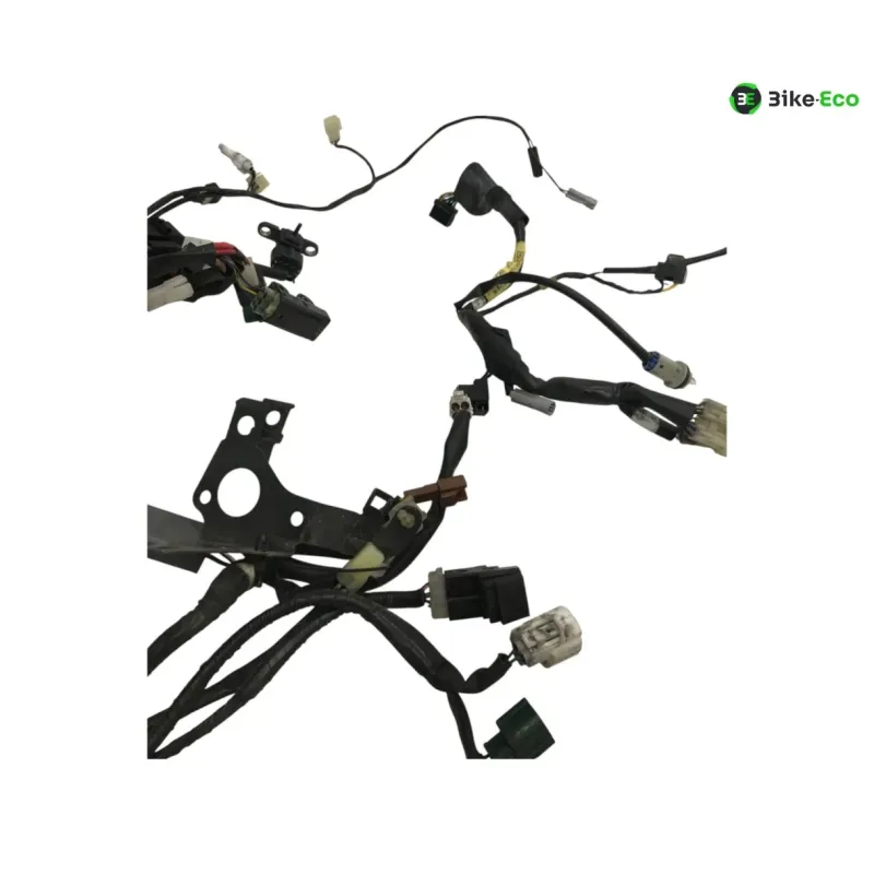 Faisceau electrique YAMAHA TDM 900 2007-2010