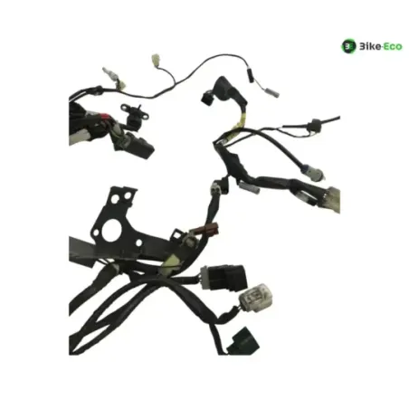 Faisceau electrique YAMAHA TDM 900 2007-2010