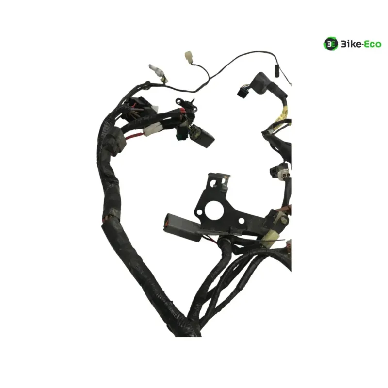 Faisceau electrique YAMAHA TDM 900 2007-2010
