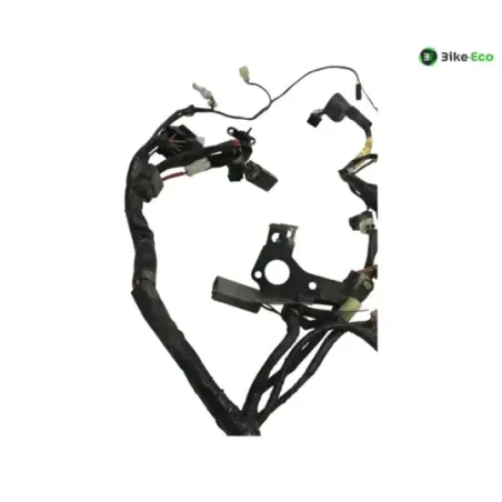 Faisceau electrique YAMAHA TDM 900 2007-2010