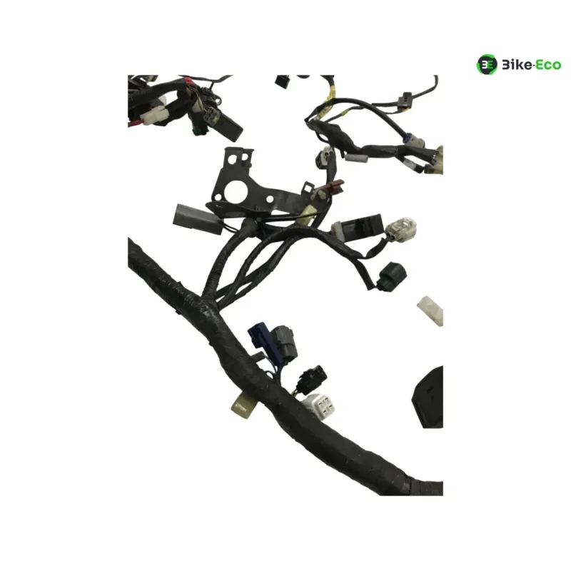 Faisceau electrique YAMAHA TDM 900 2007-2010