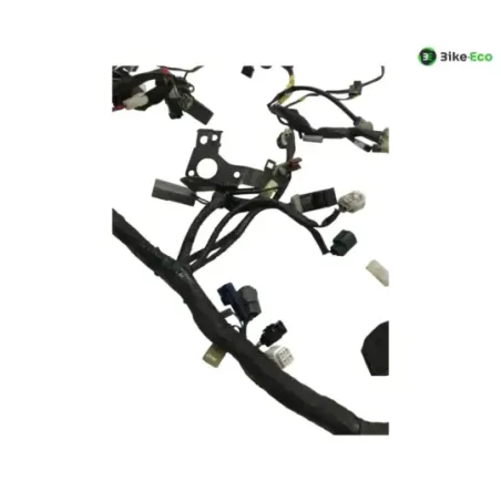 Faisceau electrique YAMAHA TDM 900 2007-2010