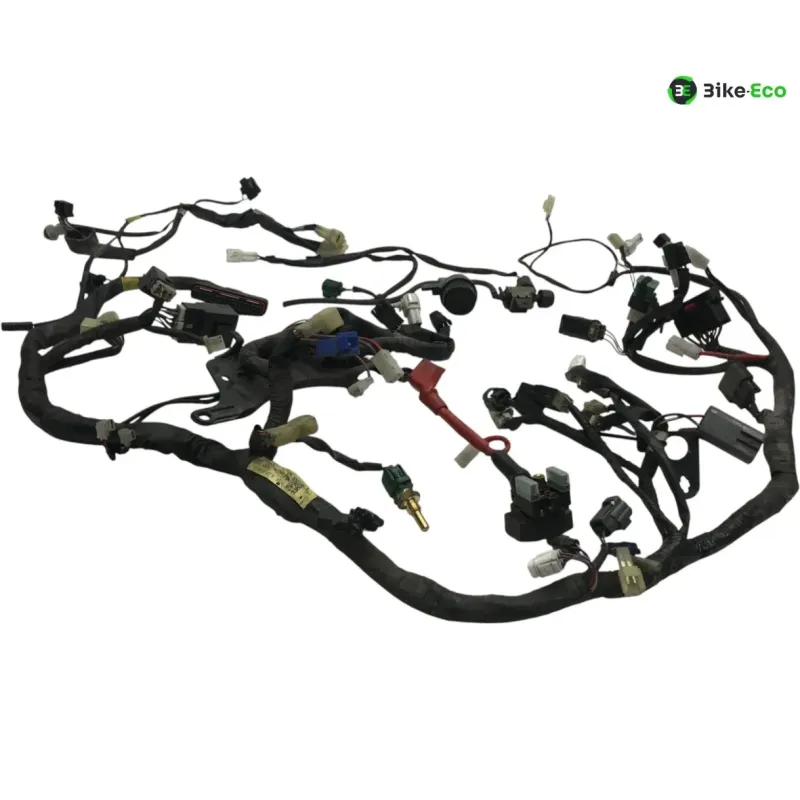 Faisceau electrique YAMAHA TDM 900 2007-2010