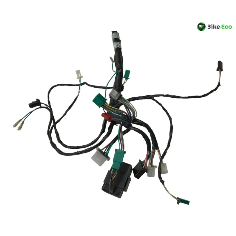Faisceau electrique KYMCO GRAND DINK 125 2003-2004 EURO2