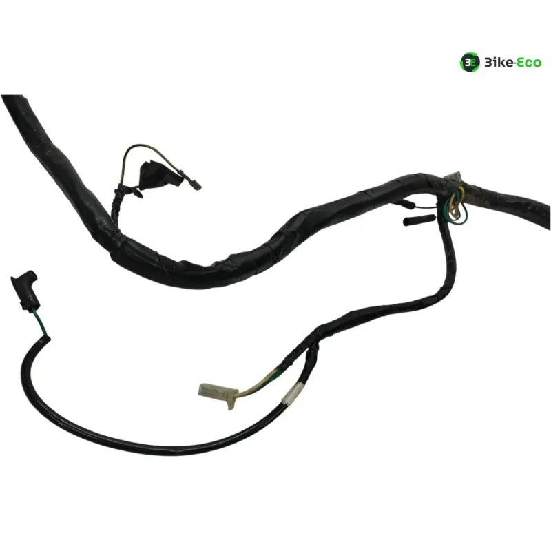 Faisceau electrique KYMCO GRAND DINK 125 2003-2004 EURO2