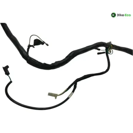 Faisceau electrique KYMCO GRAND DINK 125 2003-2004 EURO2