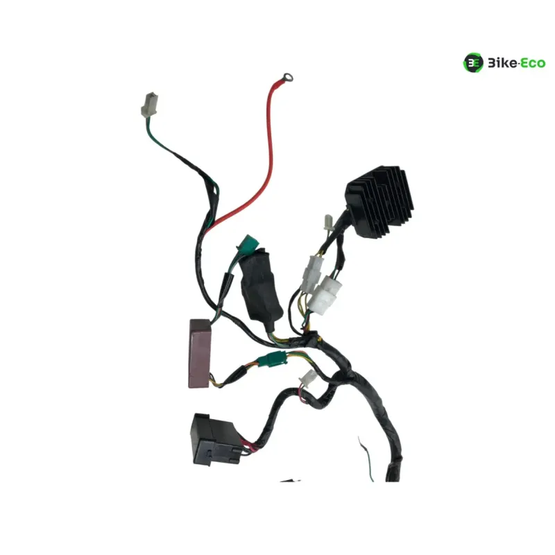 Faisceau electrique KYMCO GRAND DINK 125 2003-2004 EURO2