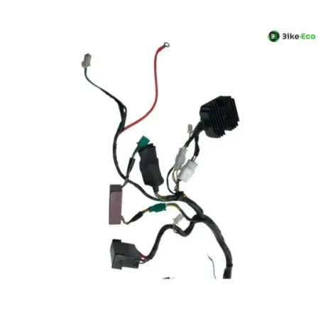 Faisceau electrique KYMCO GRAND DINK 125 2003-2004 EURO2