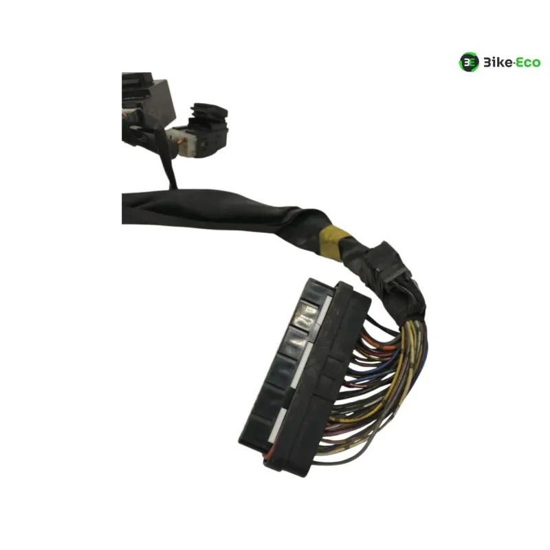 Faisceau electrique YAMAHA TDM 900 2007-2010