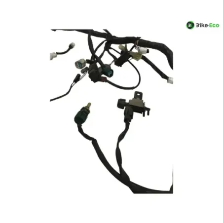 Faisceau electrique YAMAHA TDM 900 2007-2010