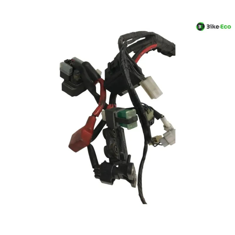Faisceau electrique YAMAHA TDM 900 2007-2010
