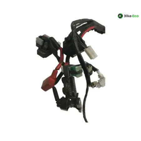 Faisceau electrique YAMAHA TDM 900 2007-2010