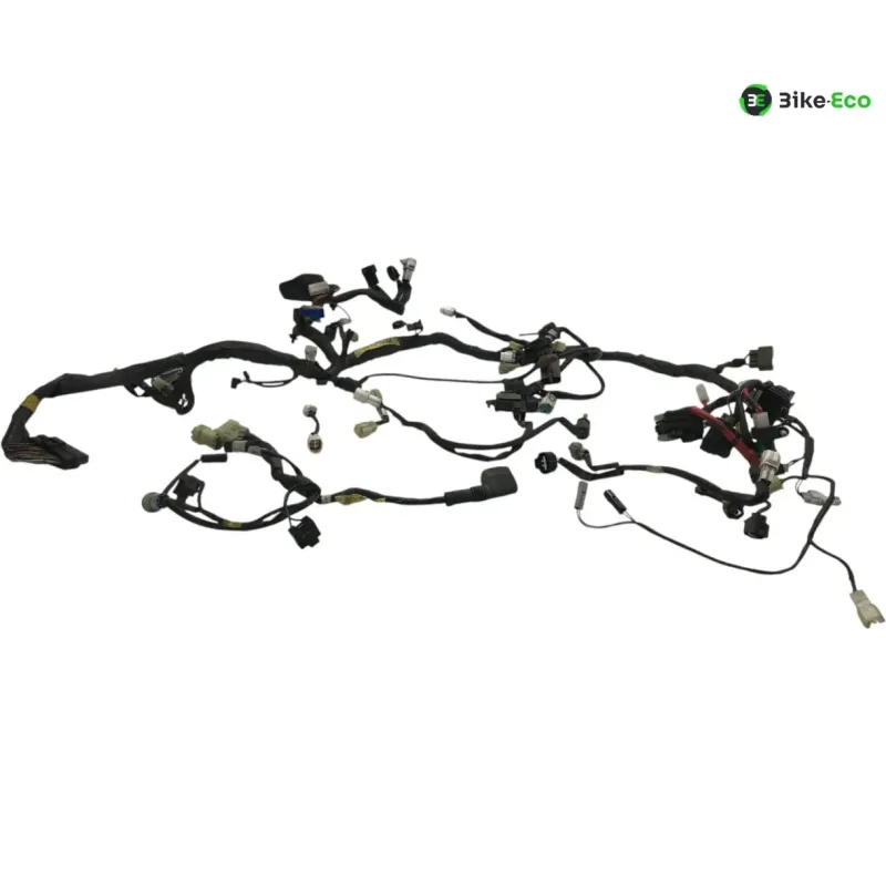 Faisceau electrique YAMAHA TDM 900 2007-2010