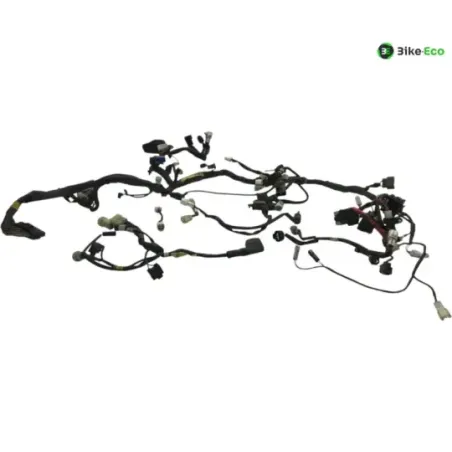 Faisceau electrique YAMAHA TDM 900 2007-2010