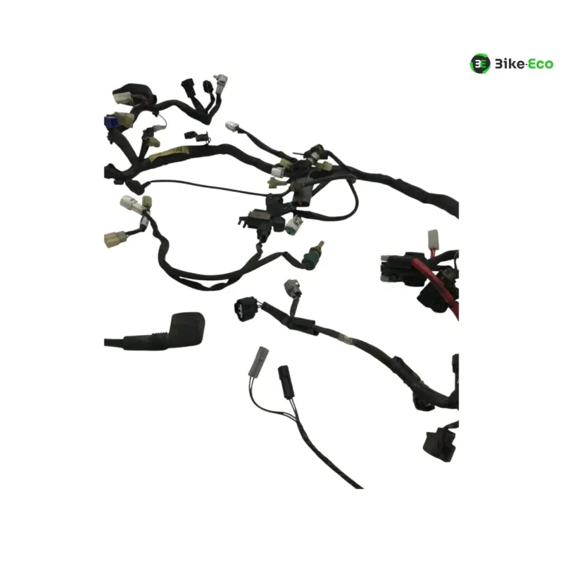 Faisceau electrique YAMAHA TDM 900 2007-2010