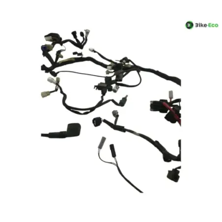 Faisceau electrique YAMAHA TDM 900 2007-2010