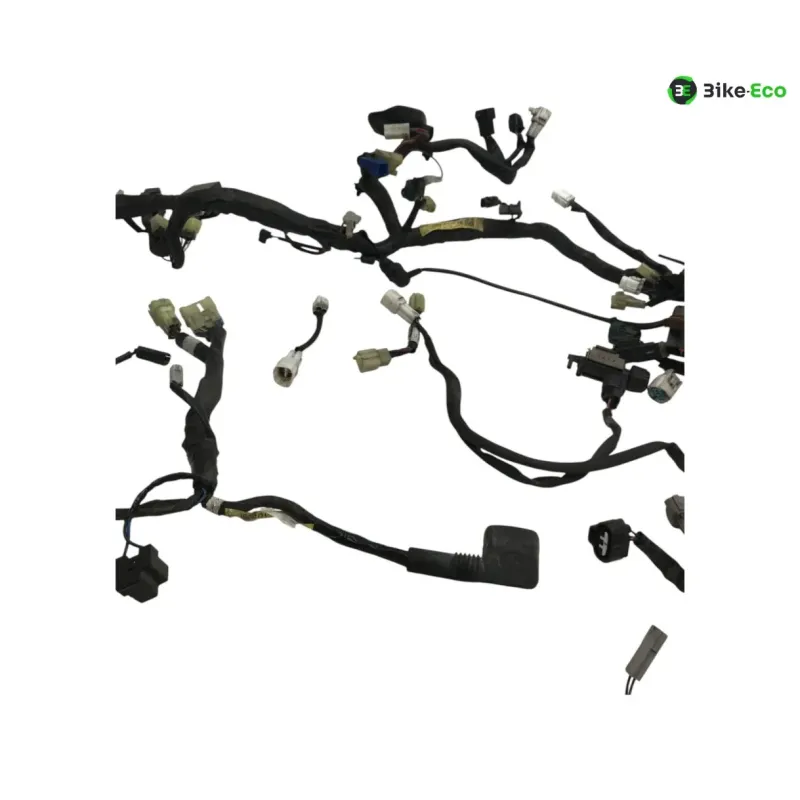 Faisceau electrique YAMAHA TDM 900 2007-2010