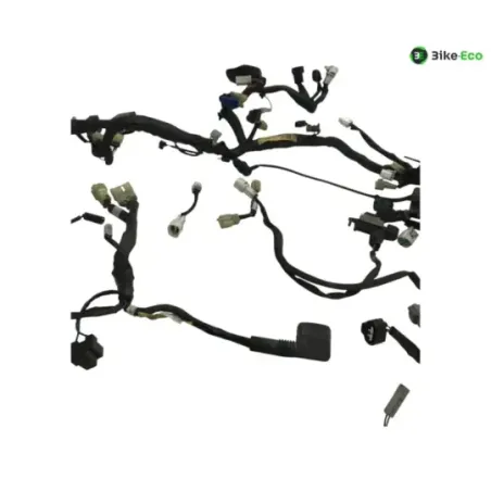 Faisceau electrique YAMAHA TDM 900 2007-2010