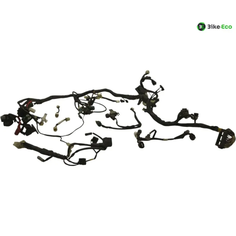 Faisceau electrique YAMAHA TDM 900 2007-2010