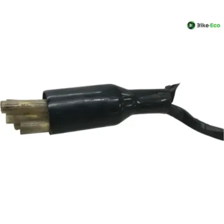 Faisceau electrique HONDA TL 50 1976-1978