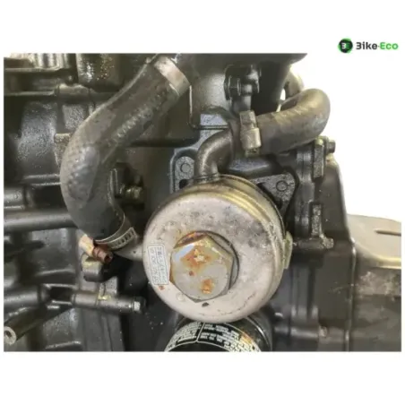 Moteur HONDA CB 600 F 2007-2013 HORNET